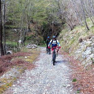 Mountain bike itineraries in Val Pennavaire